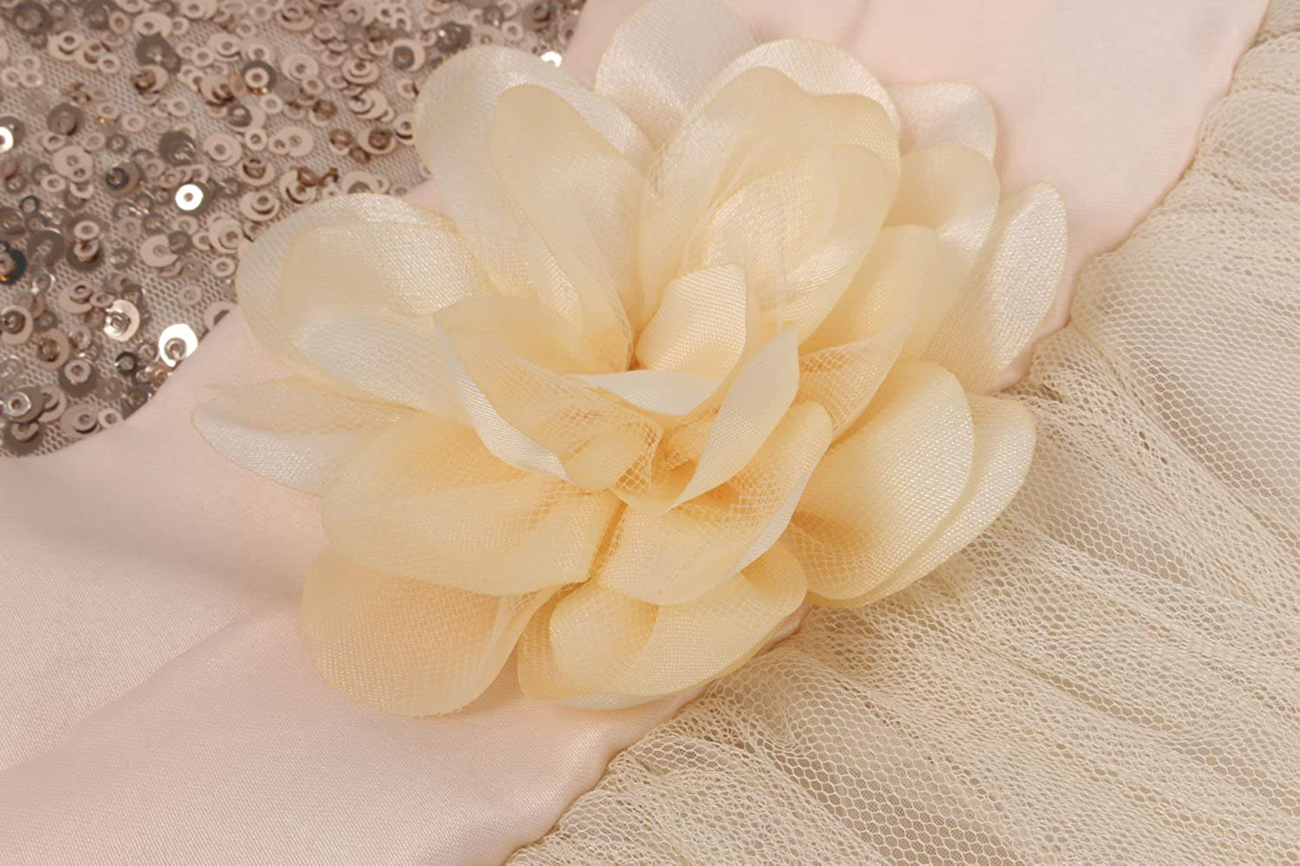 Little Girls' Sequin Mesh Flower Ball Gown Party Dress
