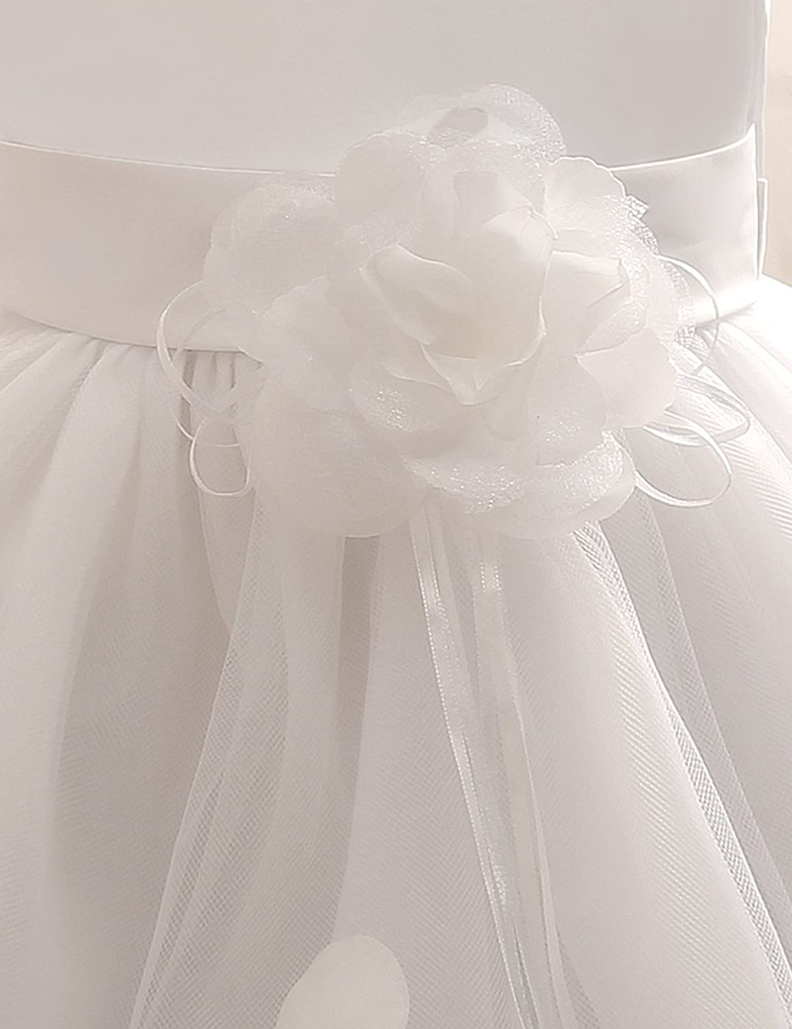 Infant Baby Girl Flower Lace Tutu Dress, Age 6-24 Months
