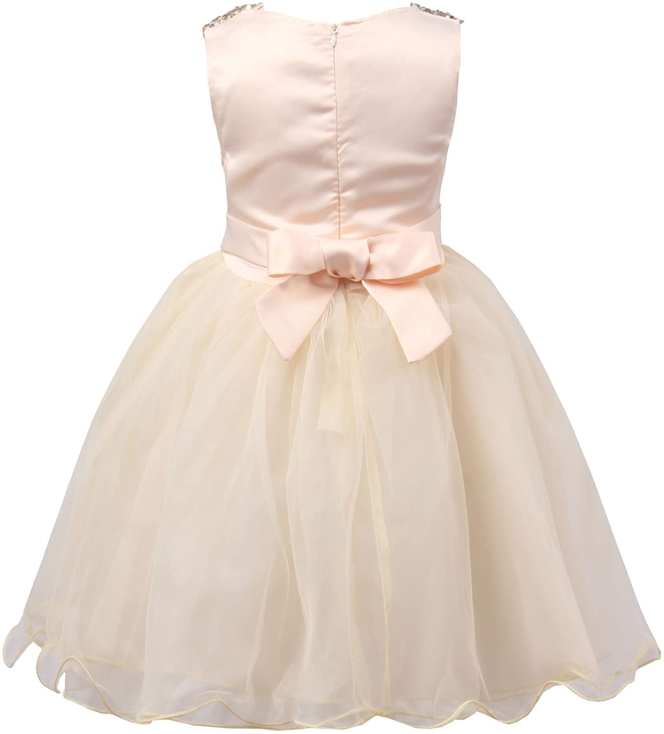 Little Girls' Sequin Mesh Flower Ball Gown Party Dress