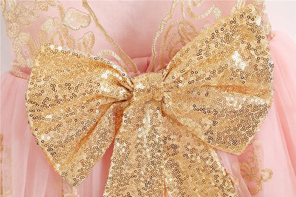 Baby Girls Pageant Lace Embroidery Dresses Toddler Formal Dress with Headwear