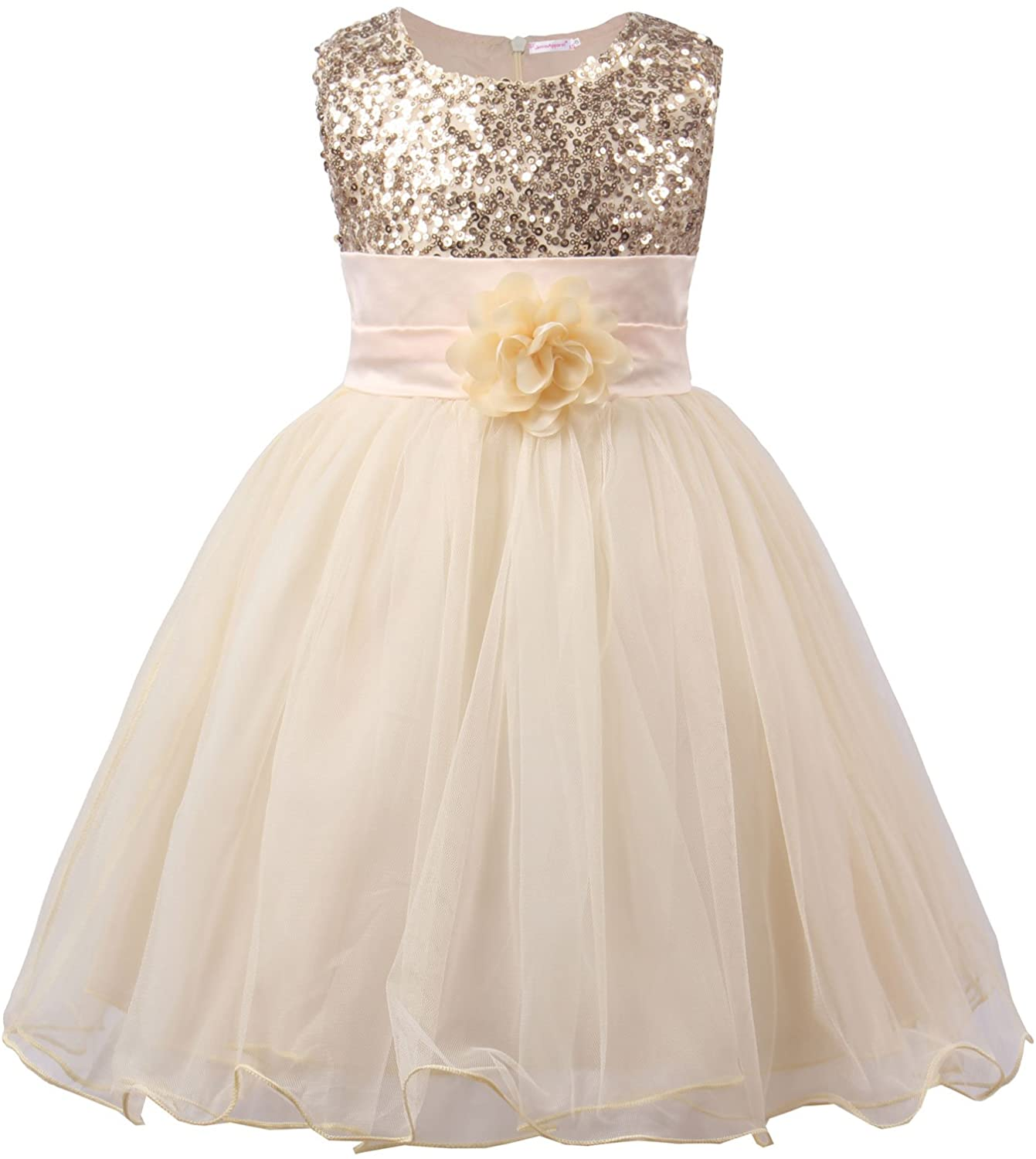Little Girls' Sequin Mesh Flower Ball Gown Party Dress